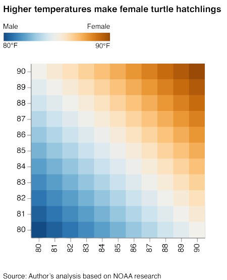 Sea Turtle Heatmap